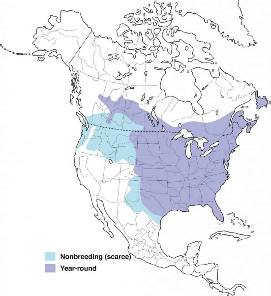 Map showing the range blue jays live in