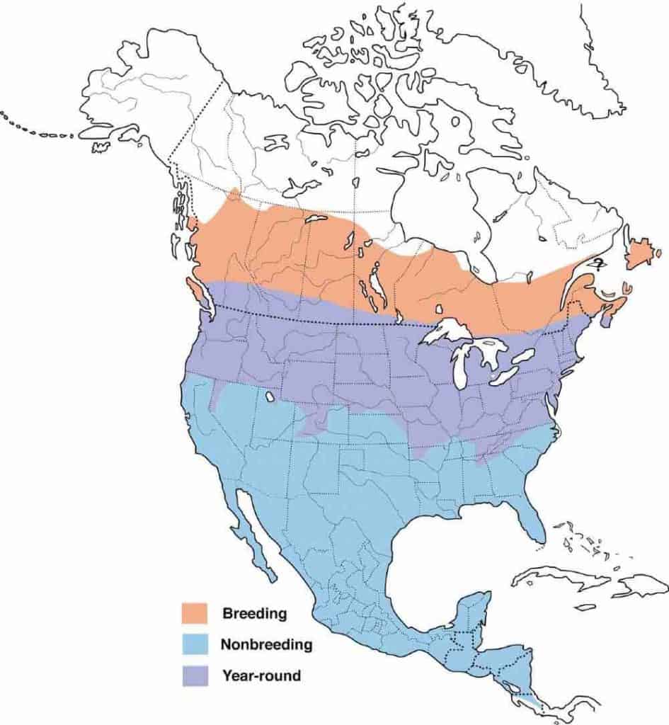 US map showing the migration range of the cedar waxwing