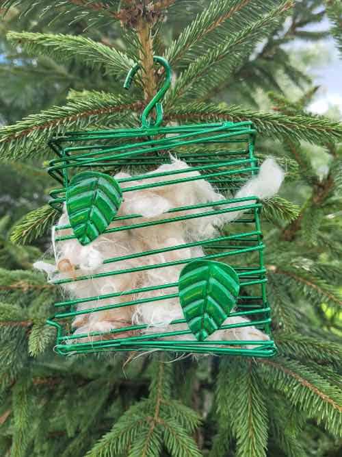 Dog fur in a suet cage hung from a tree