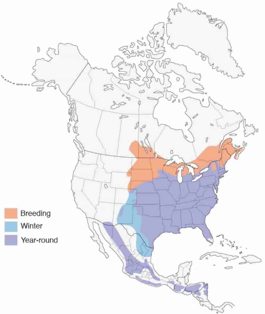 US map showing the migration range of the eastern bluebird