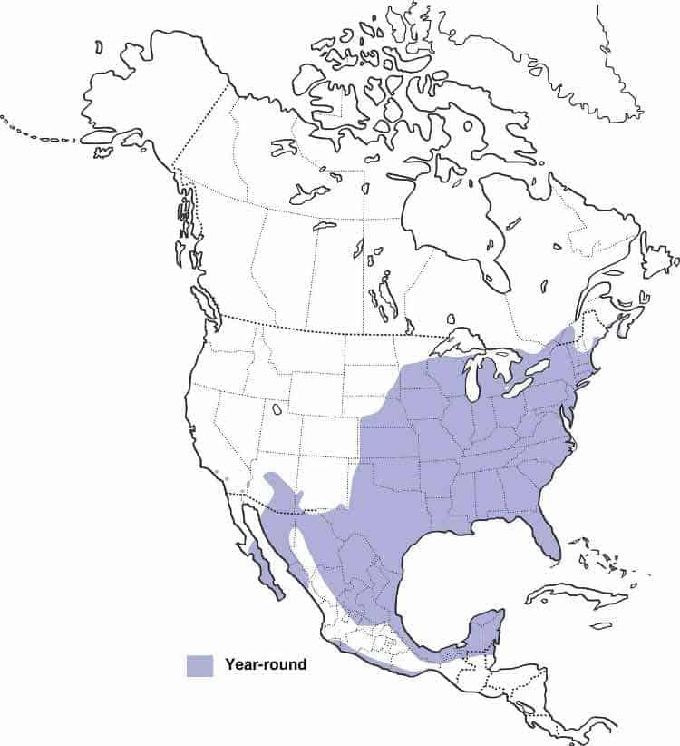 Northern cardinal range map