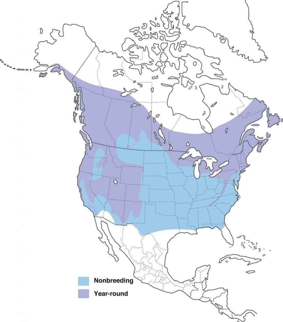 Map of the red-breasted nuthatch range