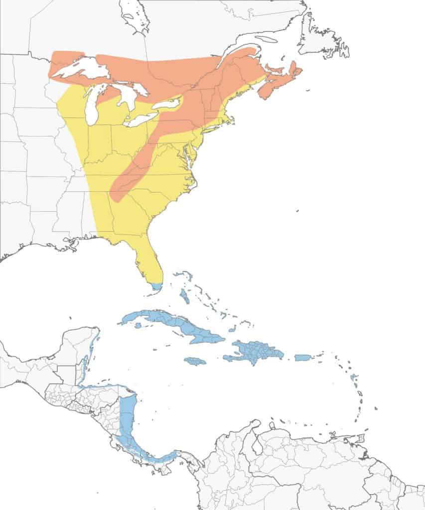 Black throated blue warbler range map