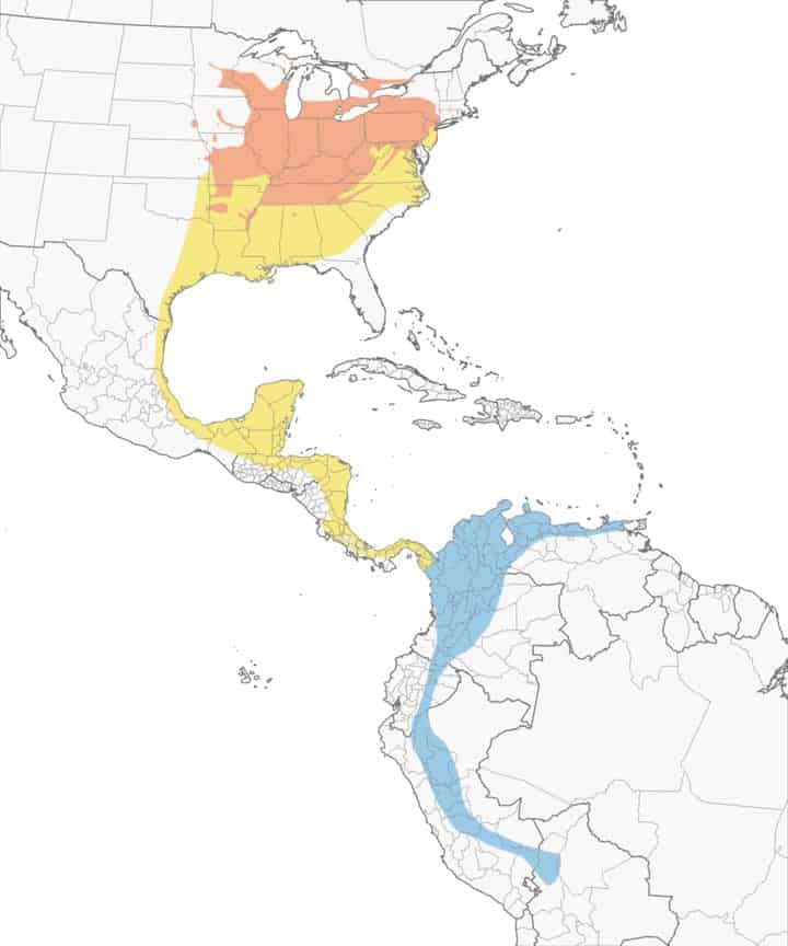 Cerulean warbler range map.