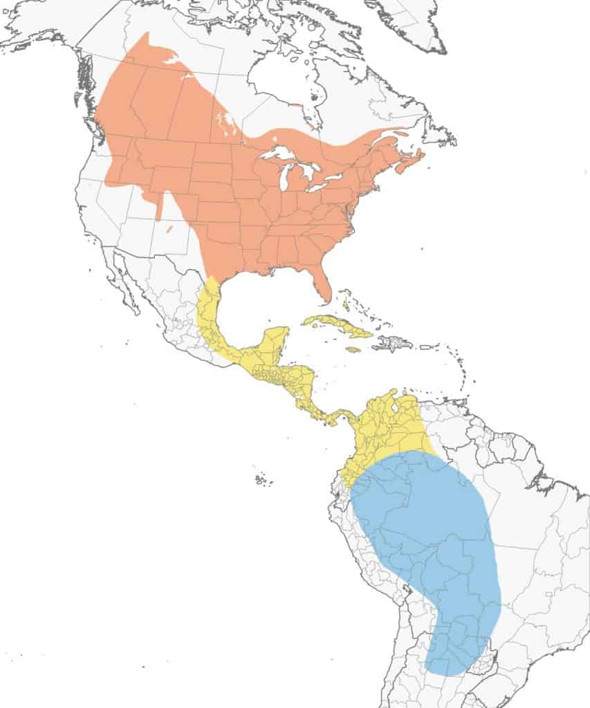 Eastern kingbird range map. 