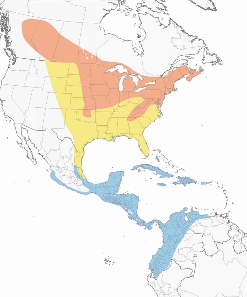 Red-breasted grosbeak range map.
