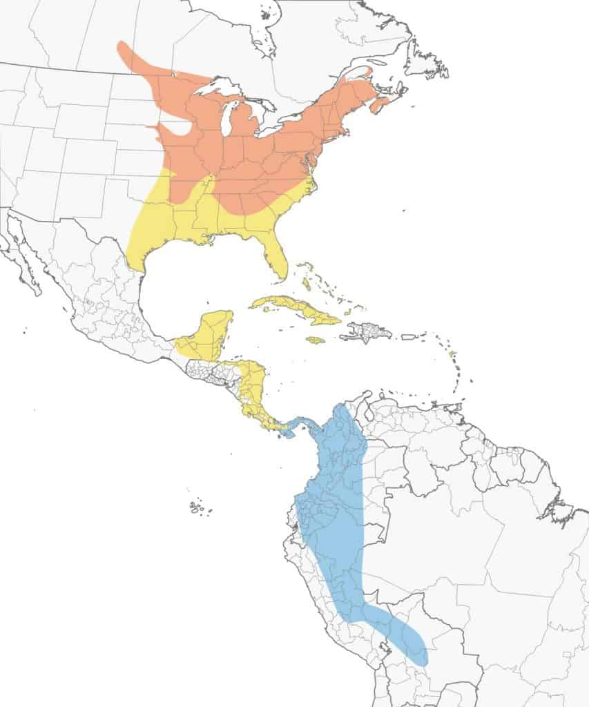 Scarlet tanager range map. 