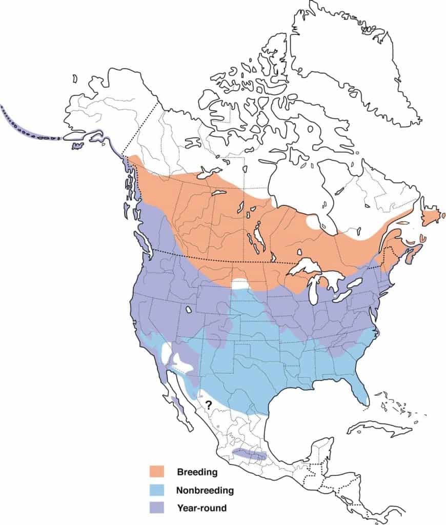 Song sparrow range map. 