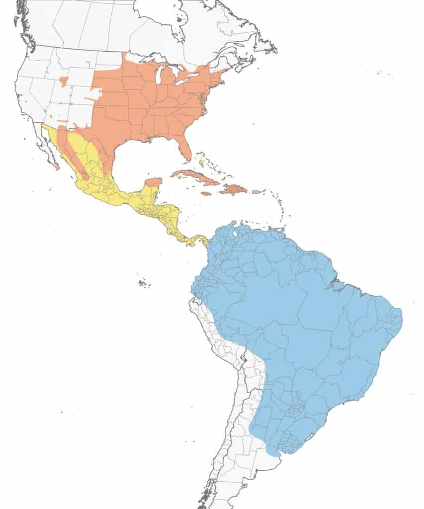 Yellow-billed cuckoo range map.