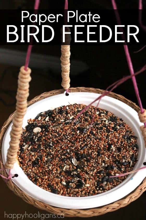 diy paper plate cardinal bird feeder