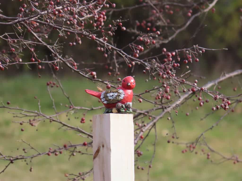 Wooden cardinal bird taken with a Canon PowerShot SX70HS from 75 feet away