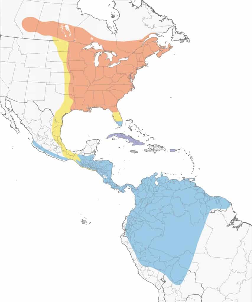 Broad-winged hawk range map.