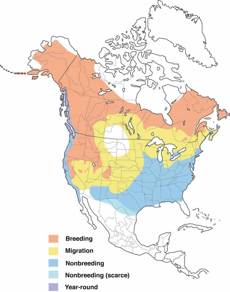 Fox sparrow range map