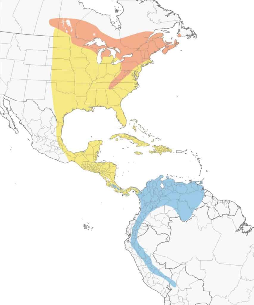 Blackburnian warbler range map.