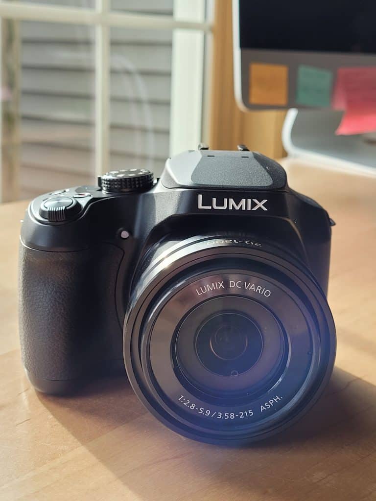 Panasonic Lumix FZ the best inexpensive camera for bird photography