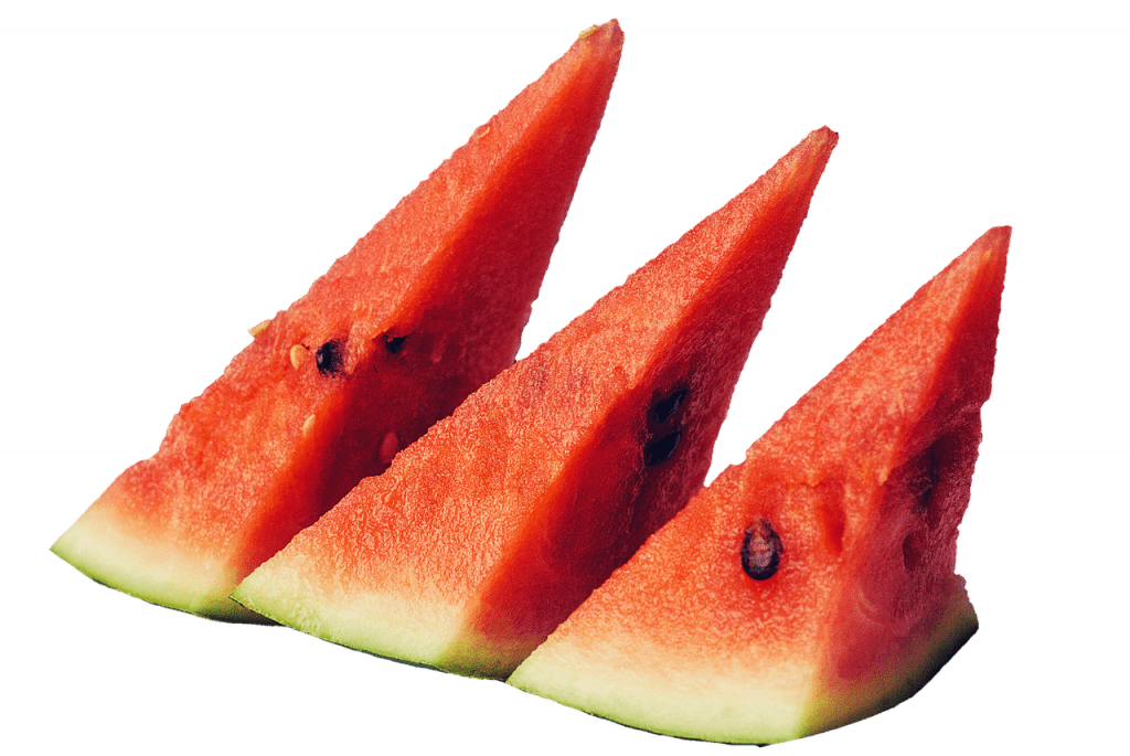 Cut watermelon to attract fruit flies & hummingbirds!