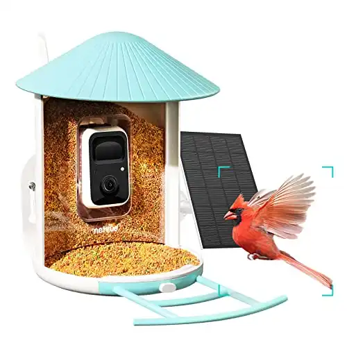 Netvue Birdfy Lite Bird Feeder Camera