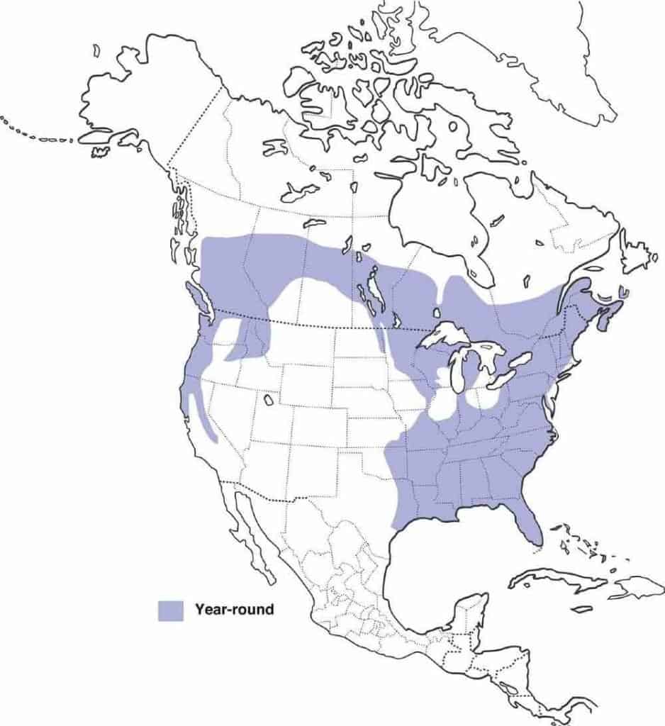 US map showing the range of the pileated woodpecker