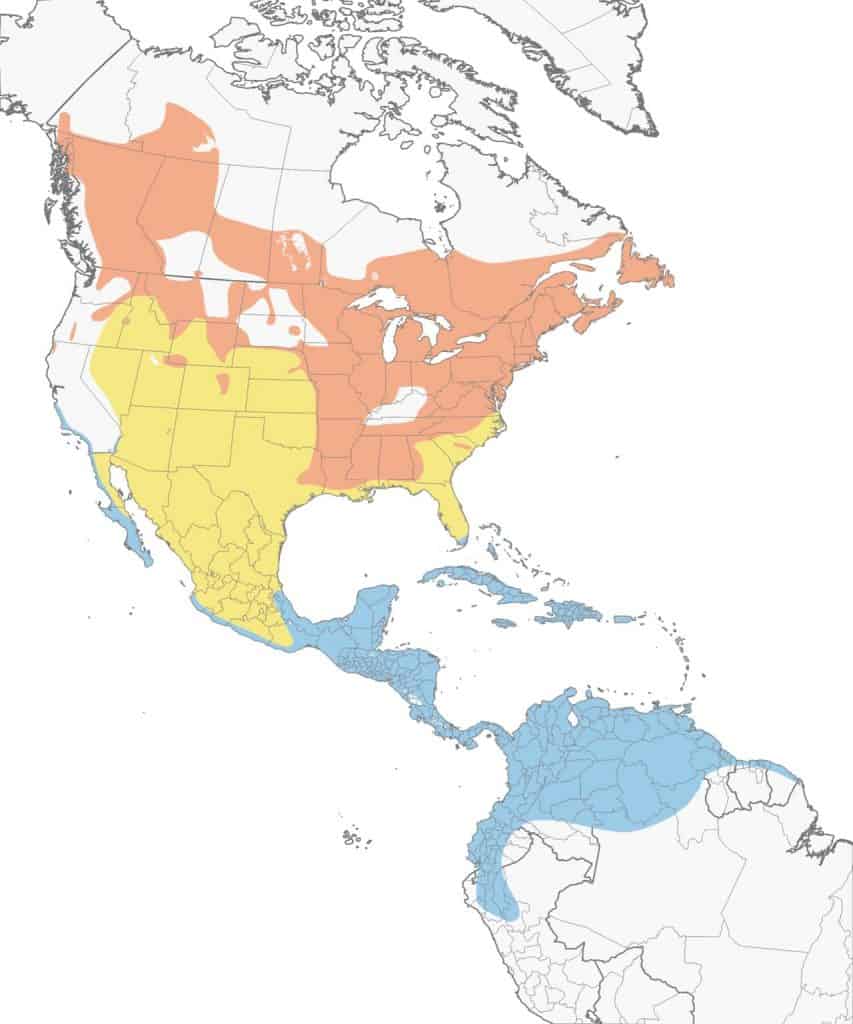 American redstart range map