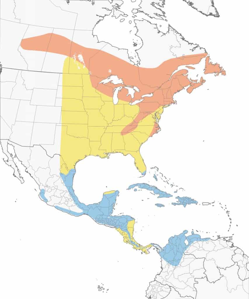 Black-throated green warbler range map.  
