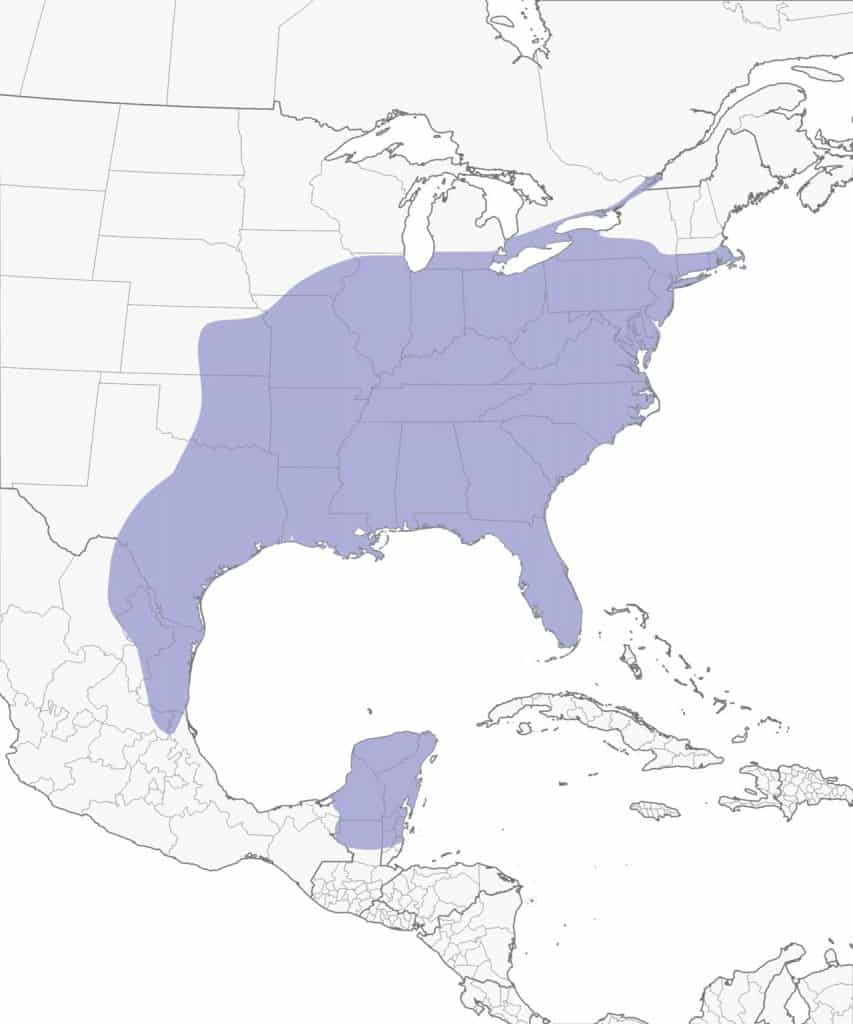 Carolina wren range map