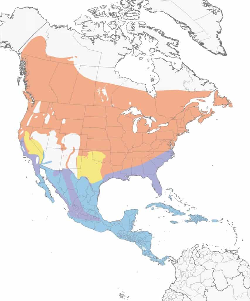 Common yellowthroat range map.