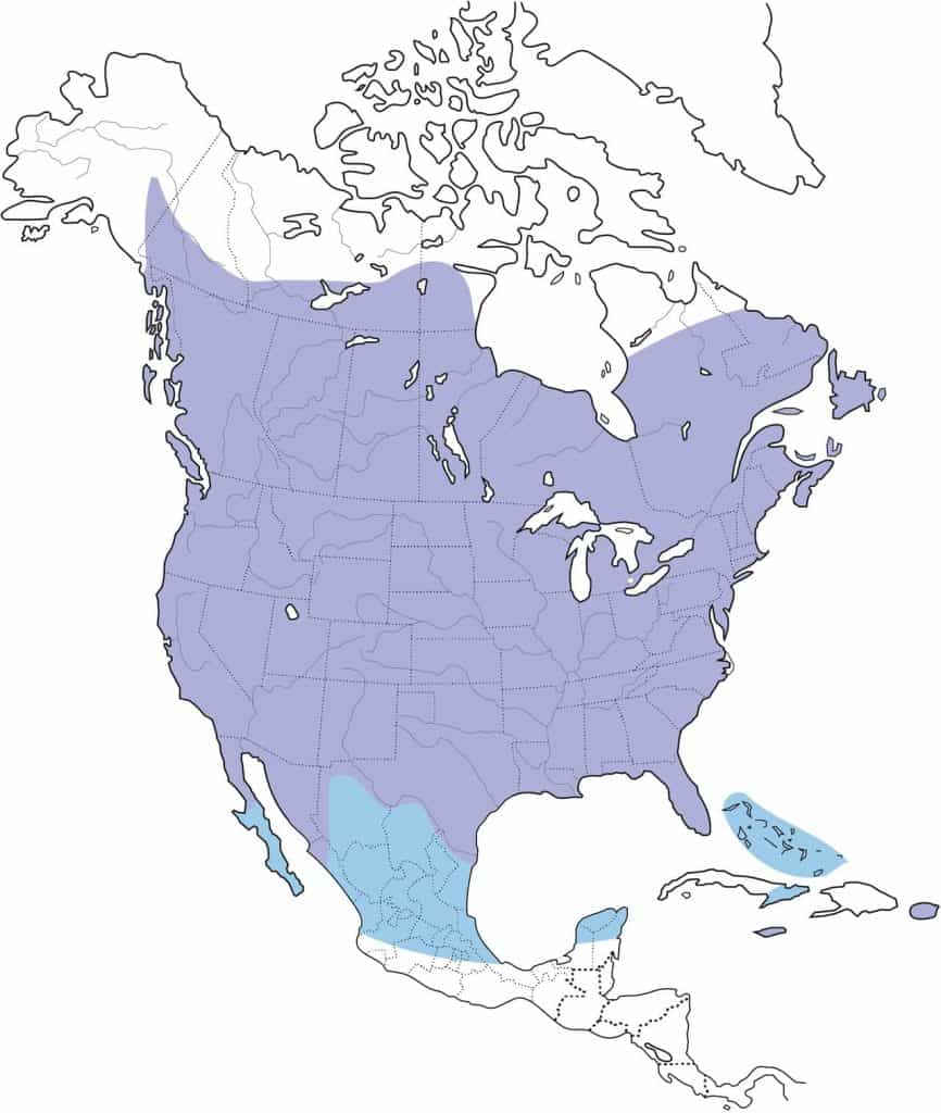European starling range map