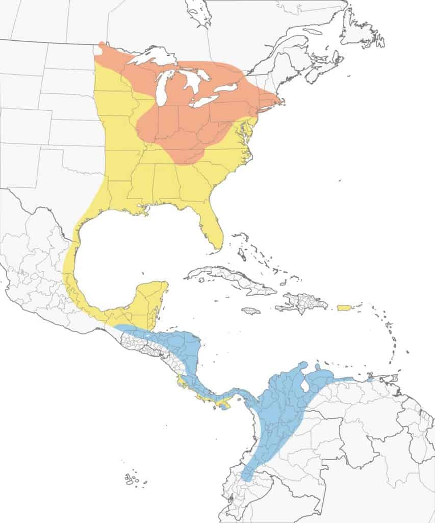Golden-winged warbler range map.