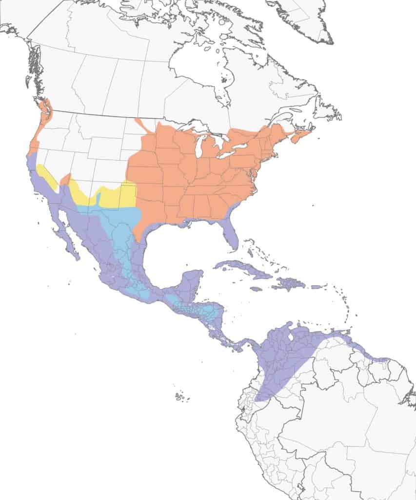 Green heron range map. 