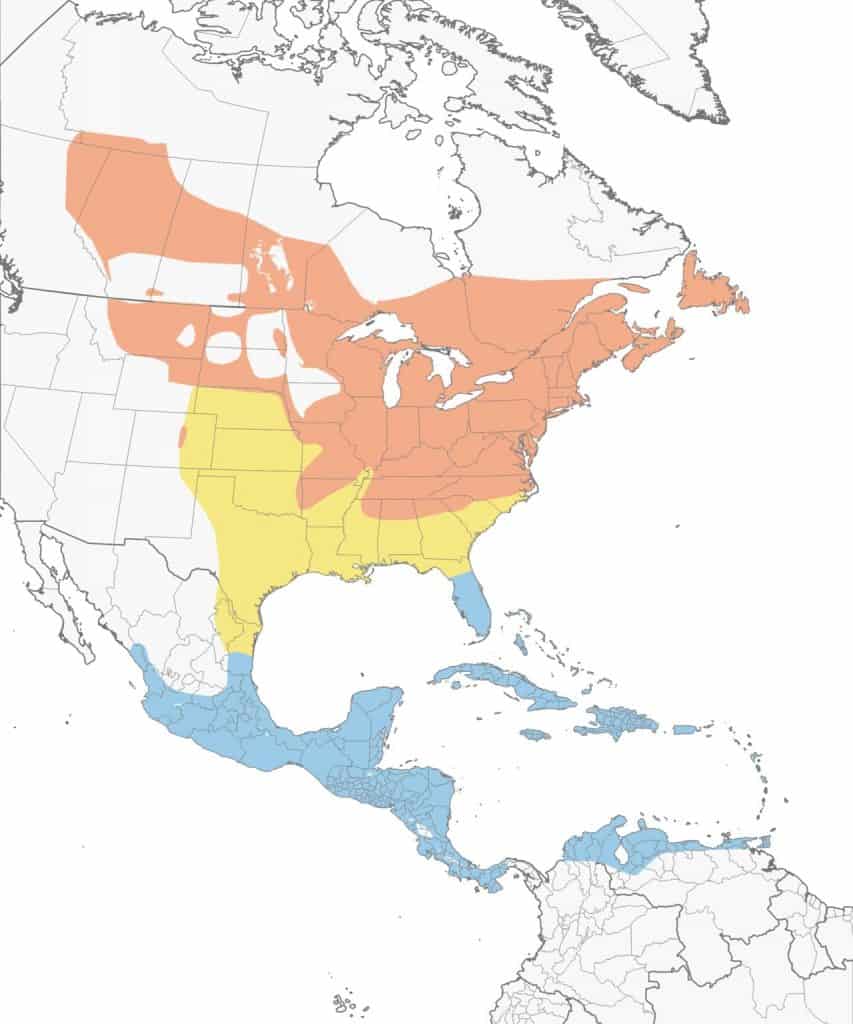 Ovenbird range map. 