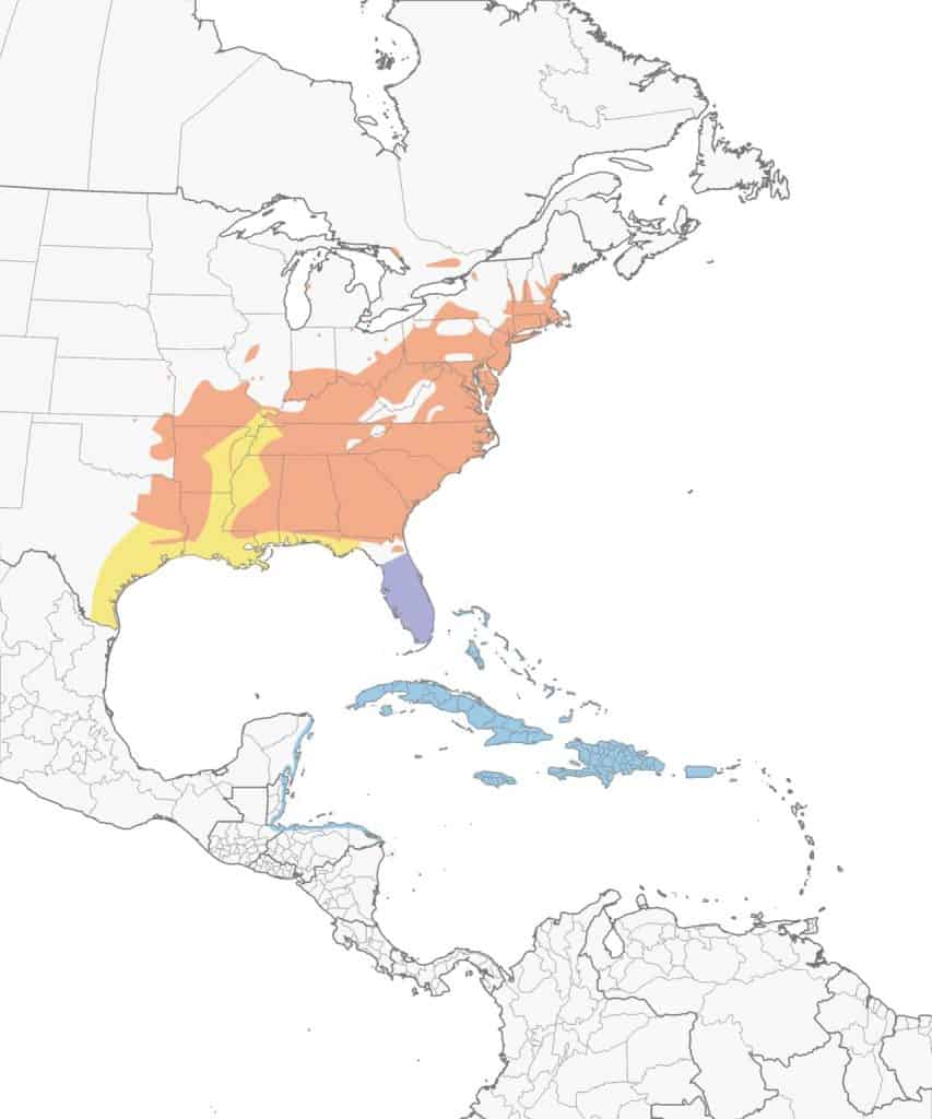 Prairie warbler range map.