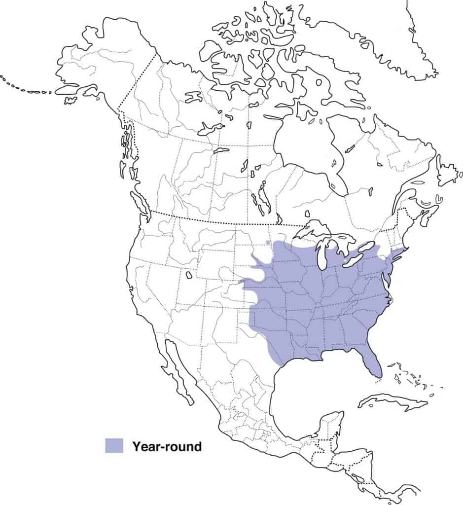 Red-bellied woodpecker range map. 