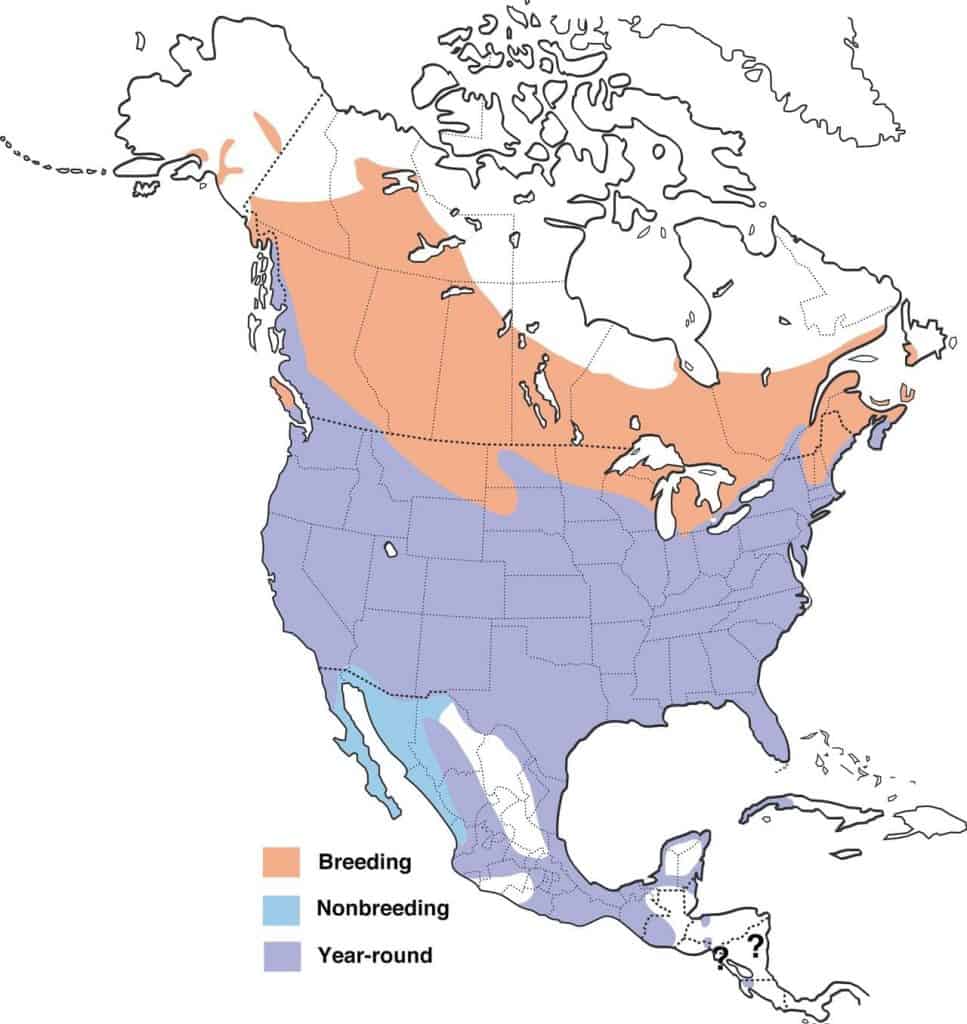 Red-winged blackbird range map.