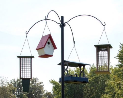 The 3 Best Bird Feeder Pole Stations  (Squirrel-Proof, Strong & Stable)