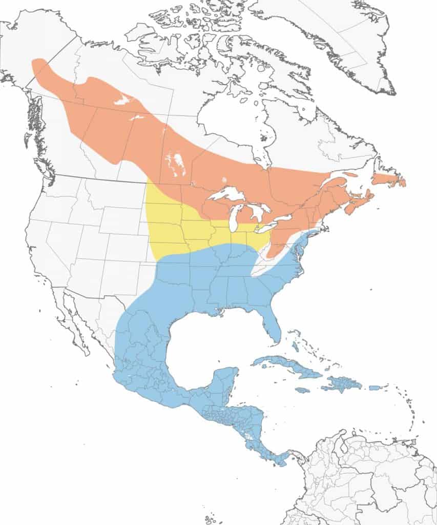 Yellow-bellied sapsucker range map.
