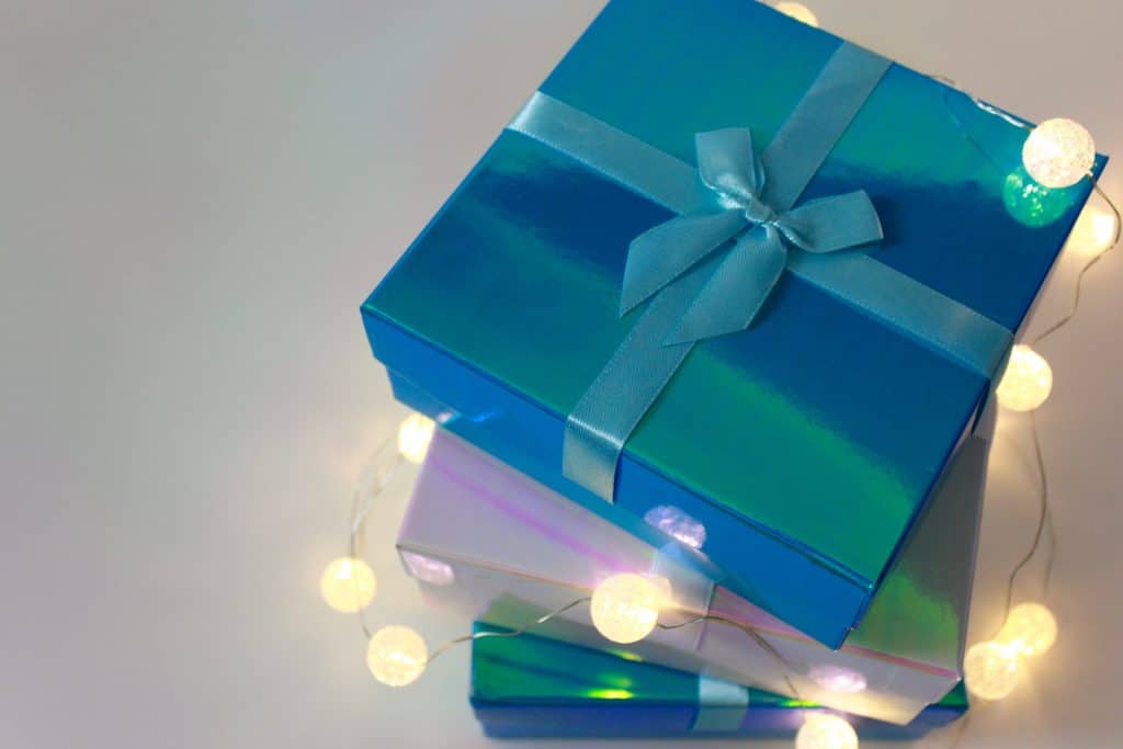 best gift for birdwatcher wrapped in blue wrapping paper and ribbon