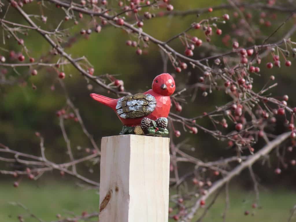 Wooden cardinal bird taken with a Canon PowerShot SX70HS from 50 feet away