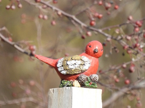 Wooden cardinal bird taken with a Nikon COOLPIX P950 from 50 feet away