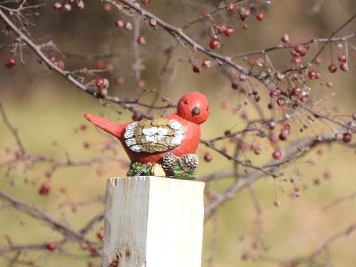 Wooden cardinal bird taken with a Nikon COOLPIX P950 from 75 feet away