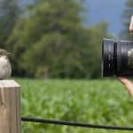 a person taking picture of bird with superzoom camera for birding