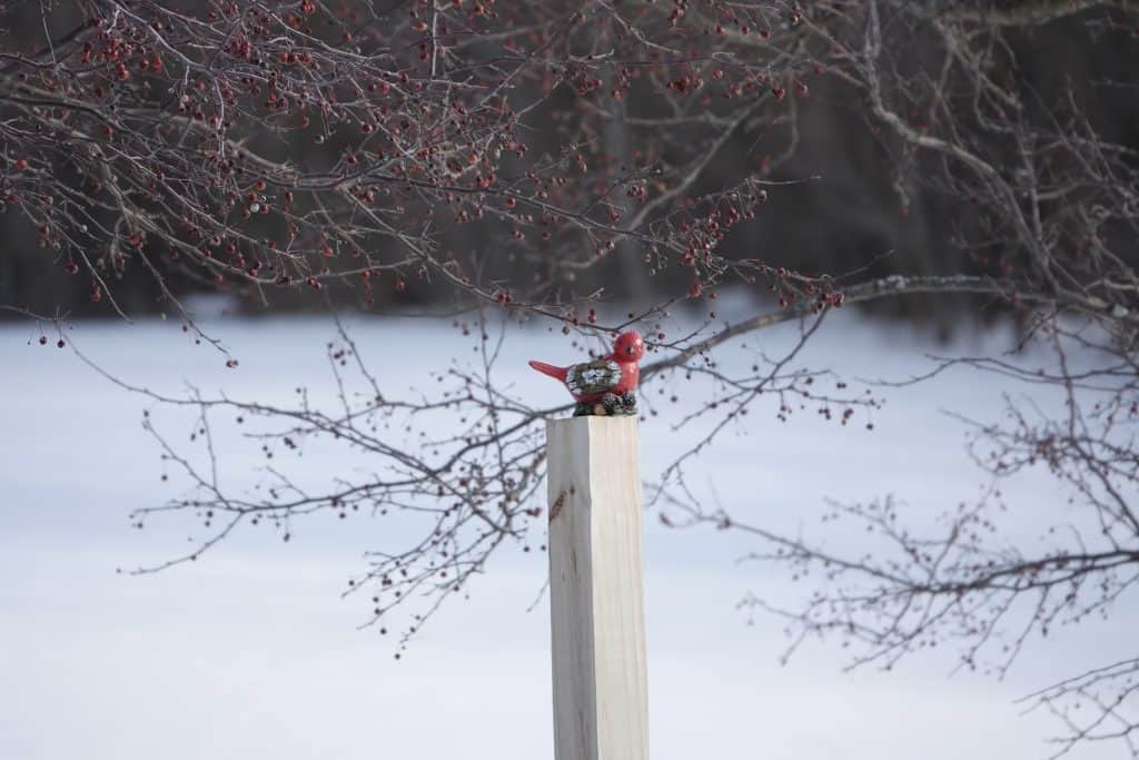 wooden cardinal on a post