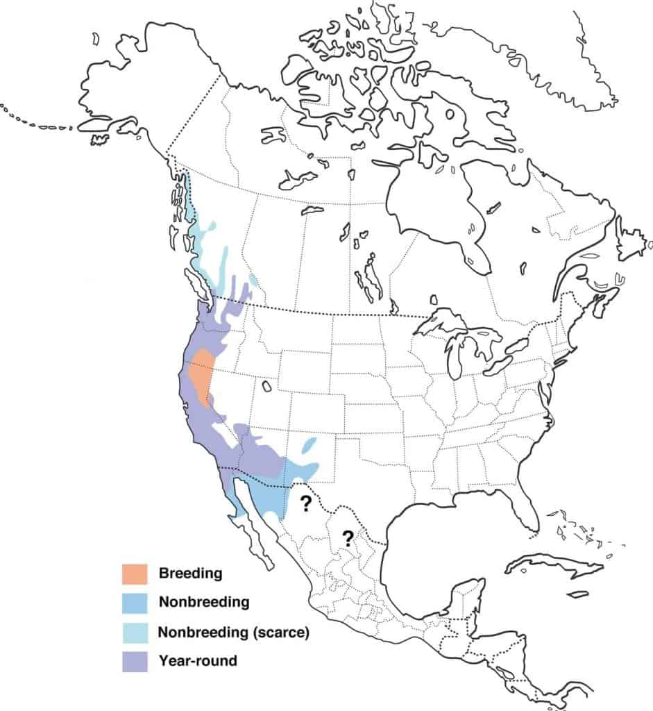 A map depicting the range of the Anna's Hummingbird