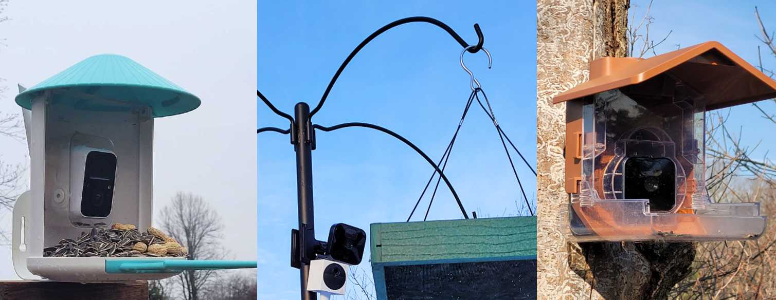 Best bird feeder cameras including smart feeder and bird feeder camera case