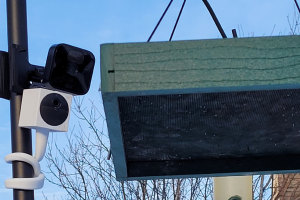 The Best Bird Feeder Camera to Snoop on the Birds