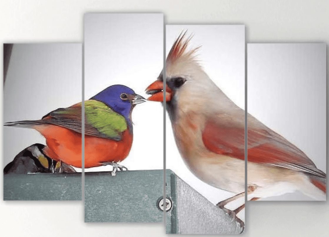 Bird canvas wall art 4 offset panels