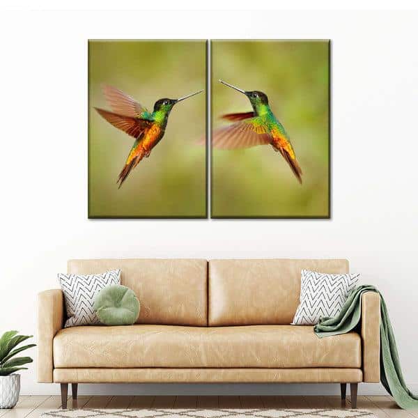 hummingbird photo on canvas art