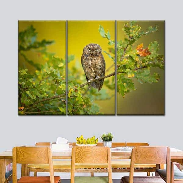 owl photo on canvas art