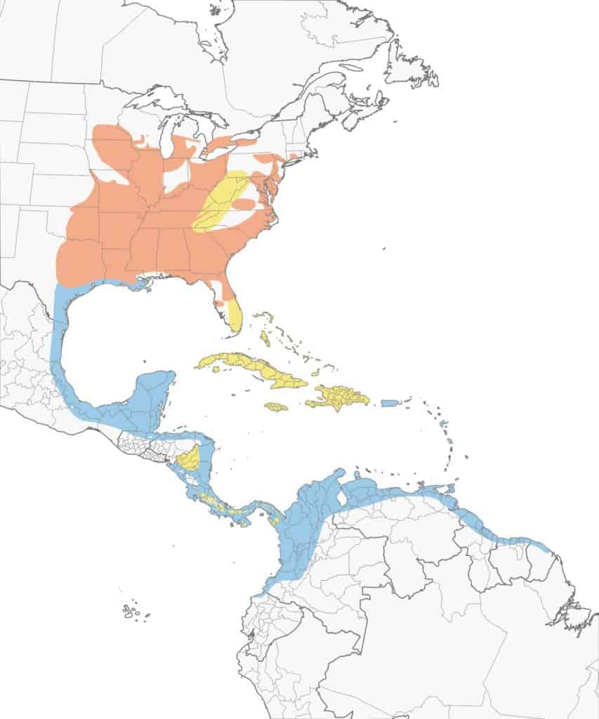 Prothonotary warbler range map.