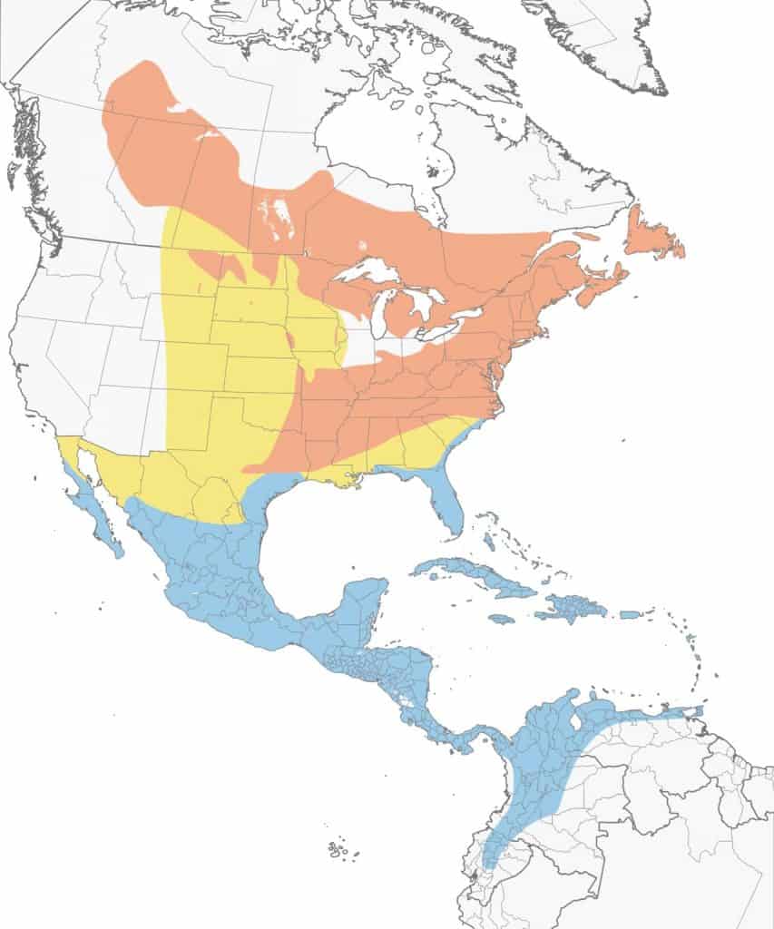 Black-and-white warbler range map.