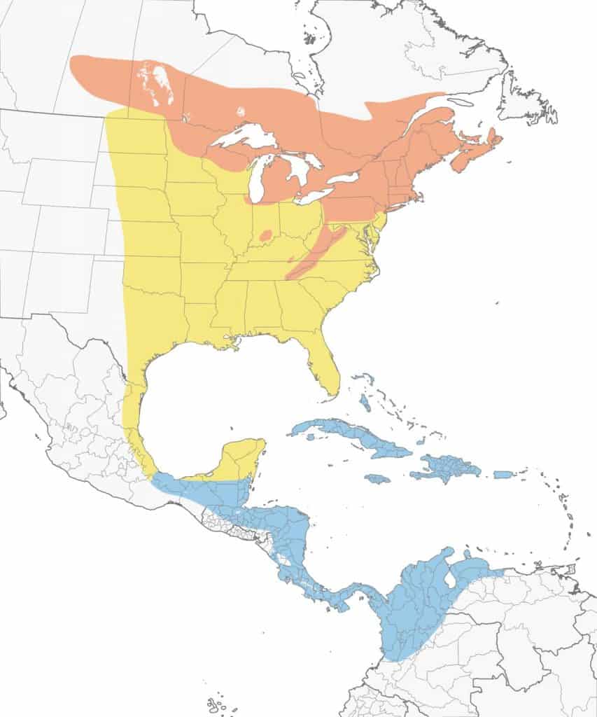 Chestnut-sided warbler range map.